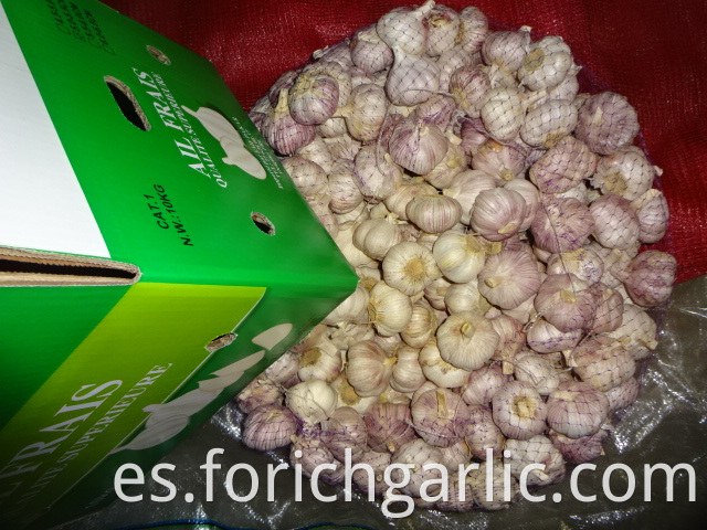 Normal White Garlic Size 5 0cm